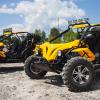 Buggy GO Buggy GO