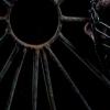 Labyrinthus Labyrinthus